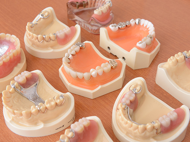 説明用のわかりやすい歯の模型
