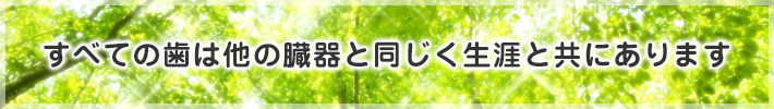 すべての歯は他の臓器と同じく生涯と共にあります